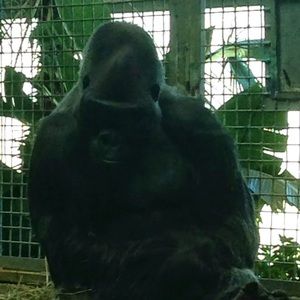 Meet your Posher, Carleigh